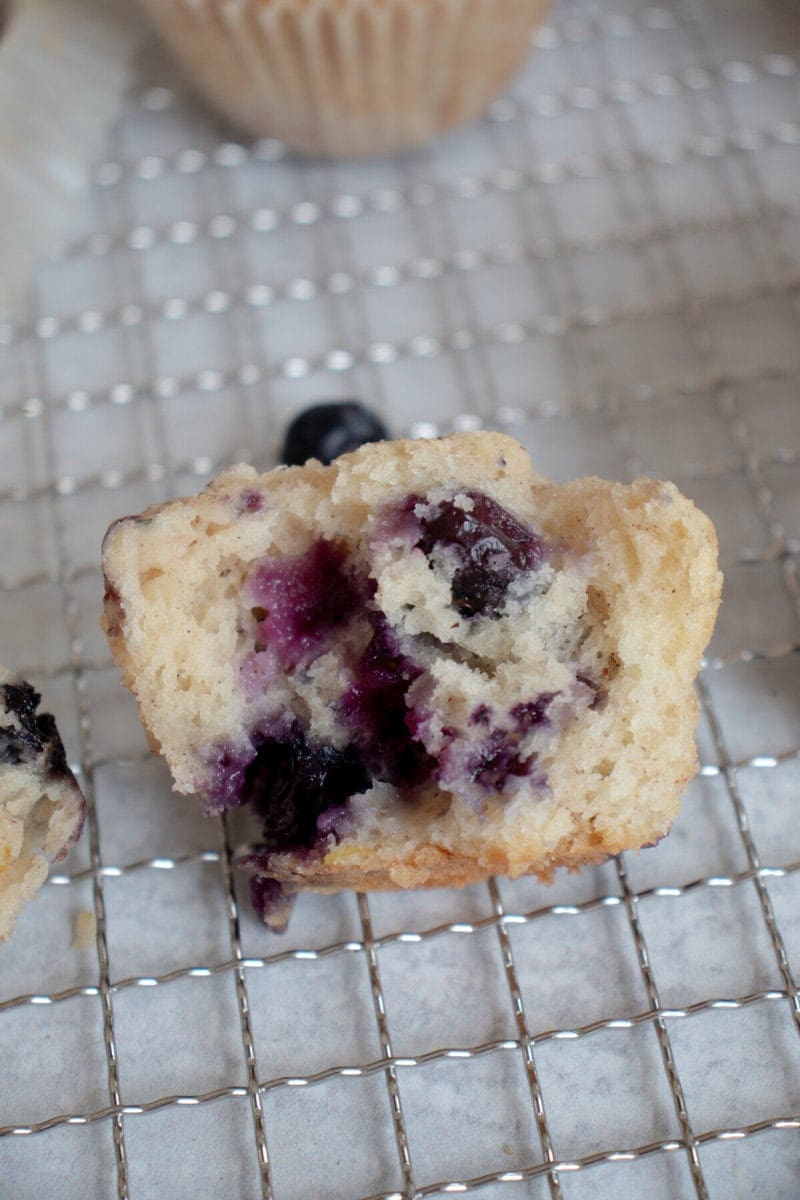 Moist Blueberry Muffins