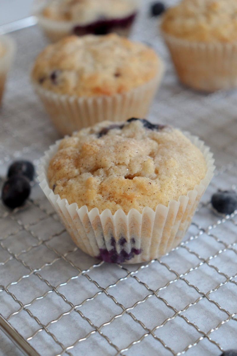 blueberry muffins on rack