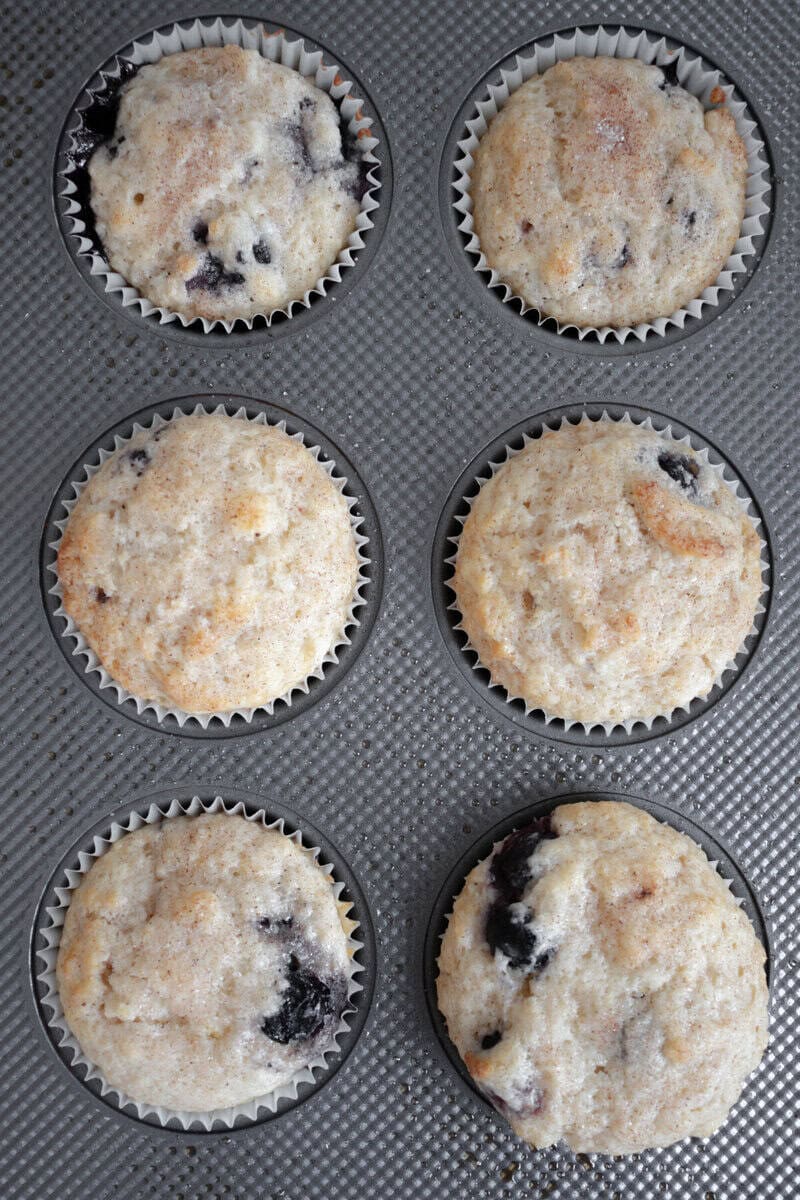 Moist Blueberry Muffins