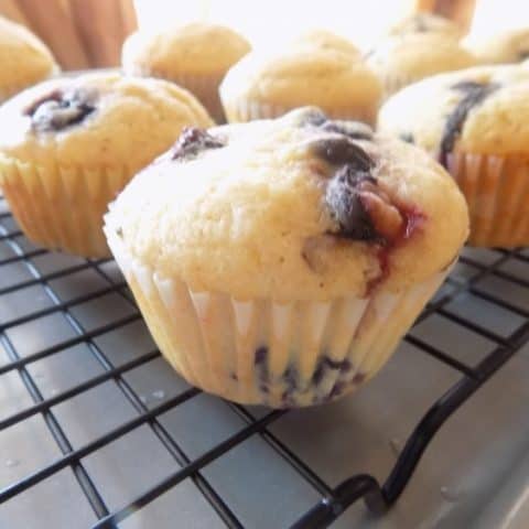 Moist Blueberry Muffins