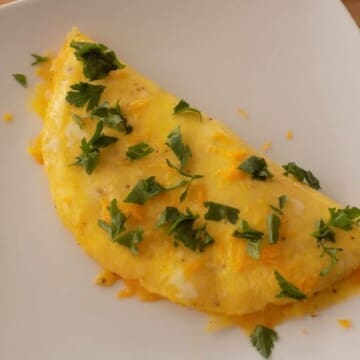 Easy Cheese Omelet